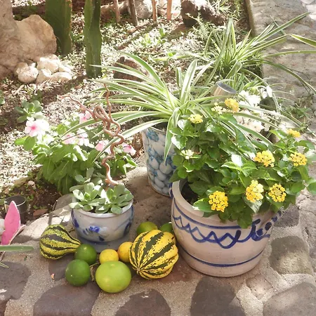 Rosso Apartament Sorso